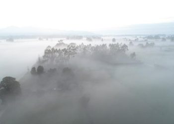 Medidas de alivio para agricultores y ganaderos afectados por las heladas