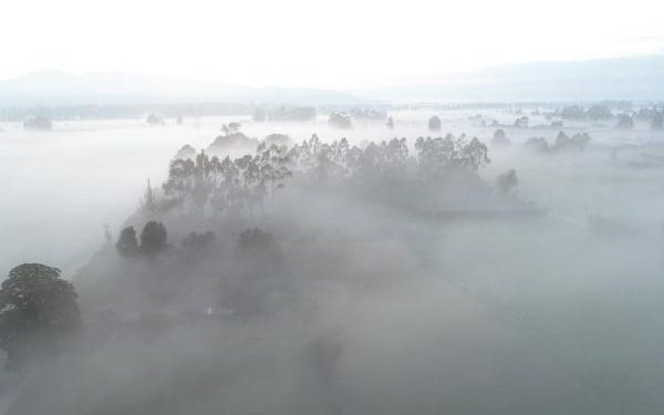 Medidas de alivio para agricultores y ganaderos afectados por las heladas