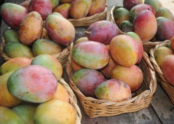 El mango, la fruta del corazón