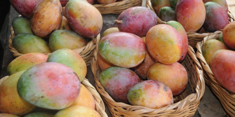 El mango, la fruta del corazón