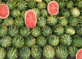 La sandía: la fruta de los riñones