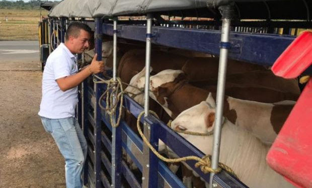 El ICA continúa expidiendo guías sanitarias de movilización para el abastecimiento de productos pecuarios