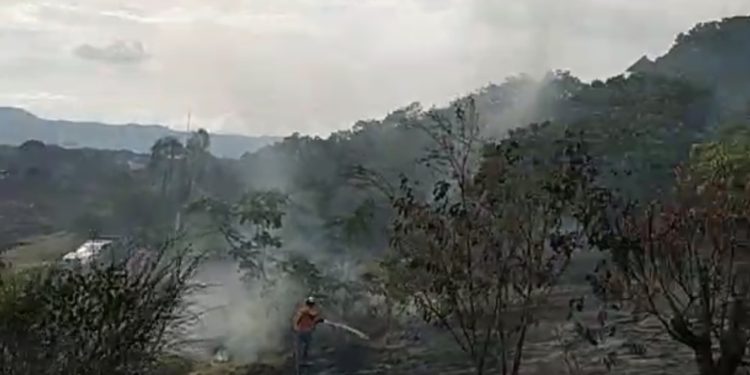 Incendio forestal en la vía Ricaurte-Agua de Dios