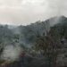 Incendio forestal en la vía Ricaurte-Agua de Dios