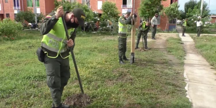 La Policía comenzó en Girardot la siembra de 100 mil árboles.