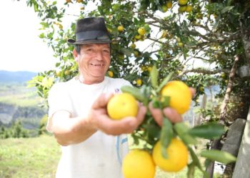 Amplían plazo para la convocatoria Alianzas Productivas para la vida fase II.