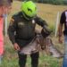 Las autoridades rescatan ave silvestre en la vía Nariño.