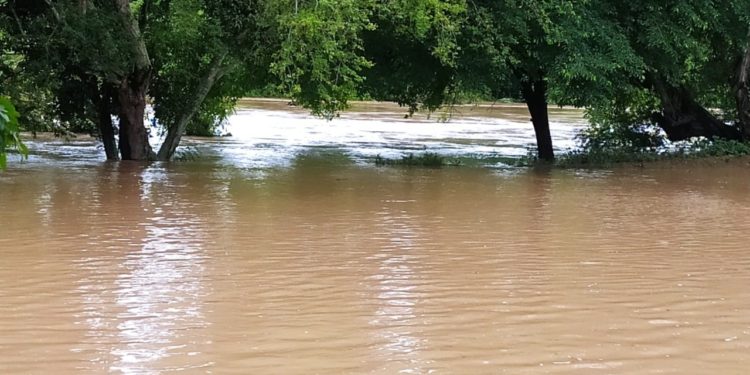 Alcaldía de Ricaurte pide estar atentos por alerta roja del río Sumapaz, ante riesgo de crecientes súbitas.