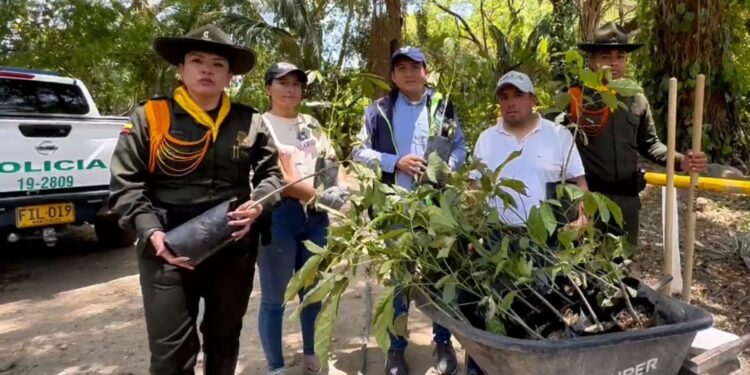 Ante la crisis de agua que azota a Cundinamarca, la Policía lideró en Tocaima, sembratón de árboles nativos.