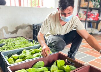 Más de 1.200 kilos de alimentos frescos llegan al PAE en Cundinamarca con productores locales al mando.