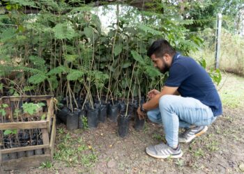 Gobernación cede al municipio de Agua de Dios predio de $123 millones para vivero que aportará a la recuperación del río Bogotá.
