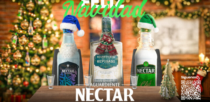 HORIZONTAL Diciembre