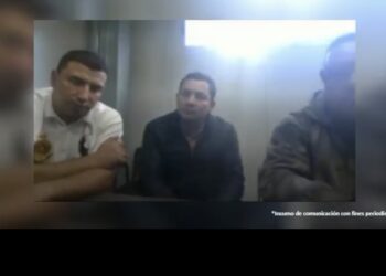 Fue desarticulada banda “Los Leñadores”, por delitos ecológicos, haciéndose pasar por guardianes del bosque.