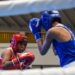 Girardot reunirá a ocho países en la Copa América de Boxeo 2026 avalada por World Boxing.