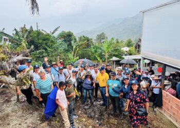 Más de 160 caficultores mejoraron sus conocimientos durante el Día de Campo Cafetero en Pacho.