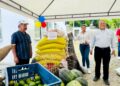 Víctimas del conflicto reciben impulso con el programa Semillas de Paz en Cundinamarca.