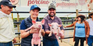 Ubalá realizó el Primer Festival Porcino Gastronómico para apoyar la comercialización y reconocer el trabajo de los porcicultores.