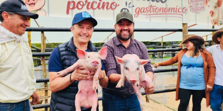 Ubalá realizó el Primer Festival Porcino Gastronómico para apoyar la comercialización y reconocer el trabajo de los porcicultores.