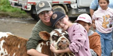 Nueva báscula permitirá a ganaderos de Villapinzón negociar sus animales con mayor precisión.
