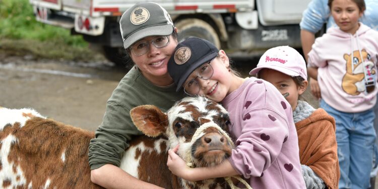 Nueva báscula permitirá a ganaderos de Villapinzón negociar sus animales con mayor precisión.