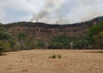 Son 28 incendios forestales, que en un solo día, dejan cerca de 72 hectáreas afectadas, Cundinamarca mantiene apoyo aéreo en Topaipí y Nilo.