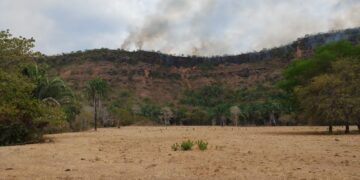 Son 28 incendios forestales, que en un solo día, dejan cerca de 72 hectáreas afectadas, Cundinamarca mantiene apoyo aéreo en Topaipí y Nilo.