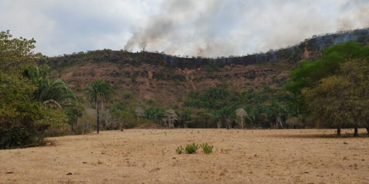 Son 28 incendios forestales, que en un solo día, dejan cerca de 72 hectáreas afectadas, Cundinamarca mantiene apoyo aéreo en Topaipí y Nilo.