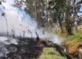 En Cundinamarca, 828 incendios forestales han afectado cerca de 3.140 hectáreas durante 2026.