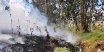 En Cundinamarca, 828 incendios forestales han afectado cerca de 3.140 hectáreas durante 2026.