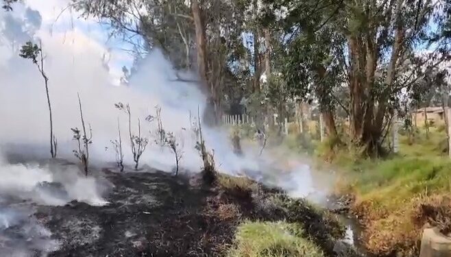 En Cundinamarca, 828 incendios forestales han afectado cerca de 3.140 hectáreas durante 2026.