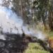 En Cundinamarca, 828 incendios forestales han afectado cerca de 3.140 hectáreas durante 2026.