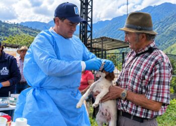 Cundinamarca realiza 200 atenciones veterinarias durante la emergencia en Guayabetal.