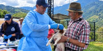 Cundinamarca realiza 200 atenciones veterinarias durante la emergencia en Guayabetal.
